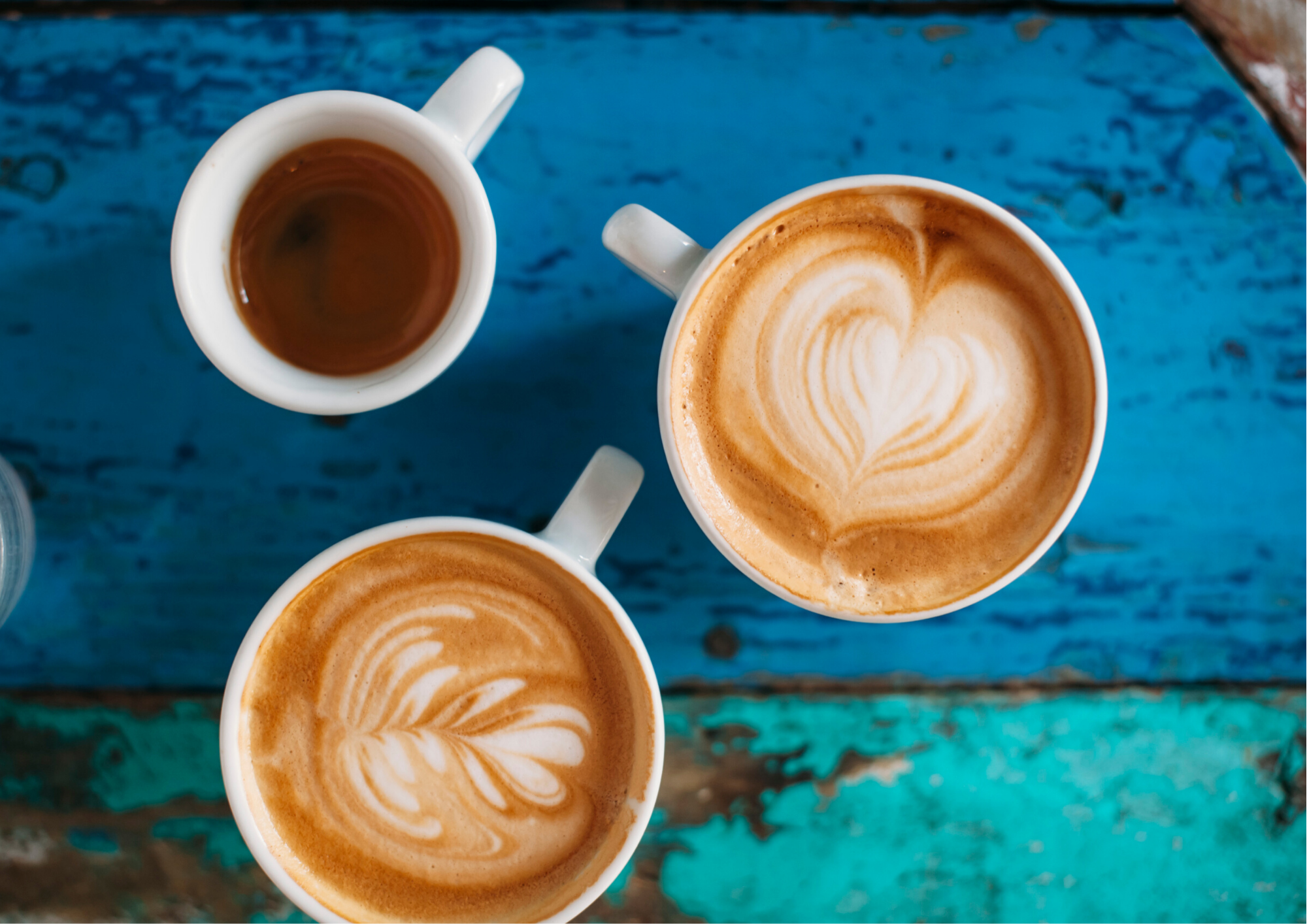 segmento Dislocación Sarabo árabe Tipos de taza para cada café - Cafés la Brasileña
